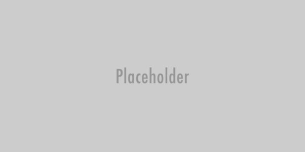 WordPress Pennant
